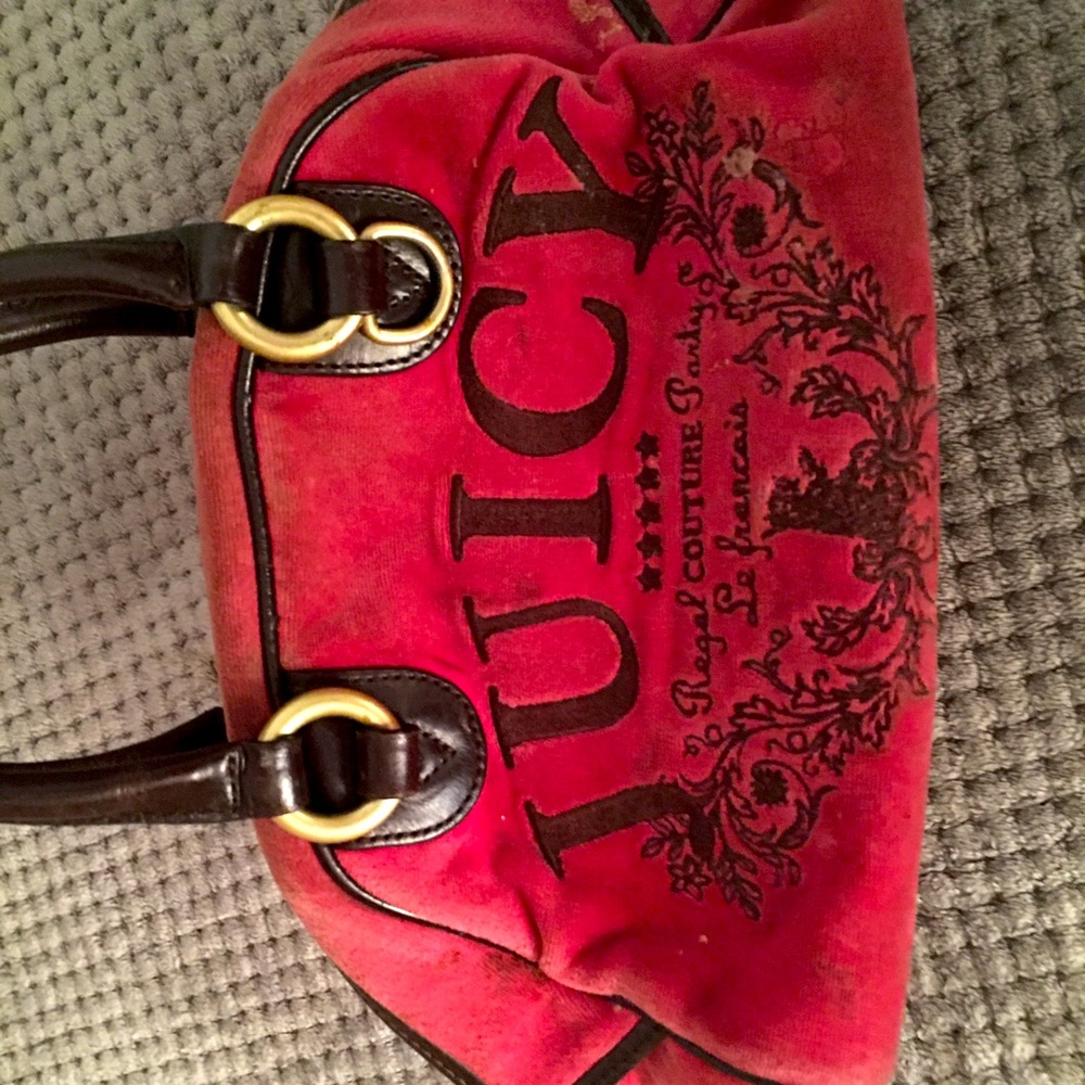 Juicy Couture Purse